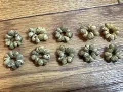 Item thumbnail for item d731febc-197d-4542-816c-29c739814837