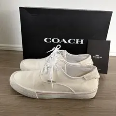 coach コーチ　ホワイト　ピンクライン　キャンパス　スニーカー　25のサムネイル