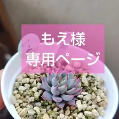 もえ様専用ページ