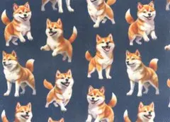 ふーわ様 リクエスト 3点 まとめ商品