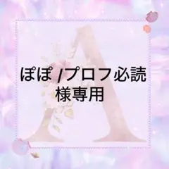 ぽぽ /プロフ必読様専用　　ミルキーストーン　デコストーン　高分子ストーン