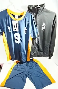 ハイキュー ドンキホーテ 烏野高校 ドライメッシュ上下セット Lサイズ