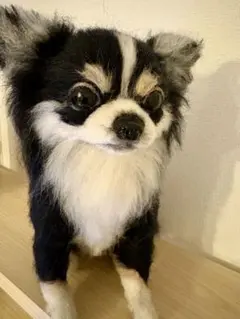 羊毛フェルト リラックスするチワワ ホワイト系 - メルカリ