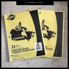 Item thumbnail for item 8c359b8a-265e-4e30-ad2a-44ee7d8ce5e9