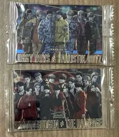 BOT ウエハースカード レア