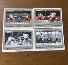 Item thumbnail for item 67a92c12-69ea-47fb-b141-e6bb744e1d89