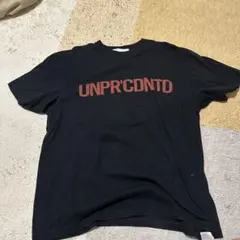 UPD'T UNPRECEDENTED Tシャツ グレー細美武士 - メルカリ