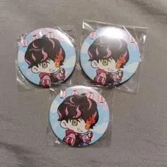 CRフェス 2024 缶バッジ cpt 等身 ホロ SD - メルカリ