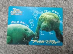 TOBA AQUARIUMコレクションカード 2パック 鳥羽水族館 オリジナル