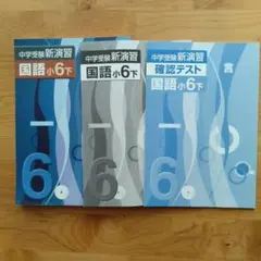 中学受験新演習　国語小6下 学習参考書3冊セットのサムネイル