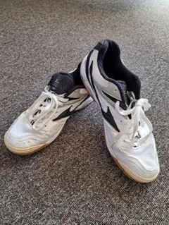 Item thumbnail for item 048c65bf-5b50-4910-a265-0cf3ab24ace8