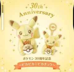 ポケモン 30周年記念 ピカチュウぬいぐるみセット