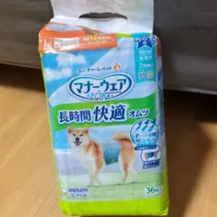 Item thumbnail for item 2c663c46-4e82-4ebf-817b-1145feb8491c