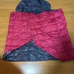 Item thumbnail for item bc798c7e-8a06-479f-abf0-539ea4f2db96