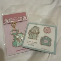 韓国限定 Hotel Floria ハンギョドン