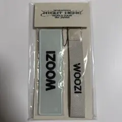 SEVENTEEN RIGHT HERE ワッペンバッジ マルチストラップセット