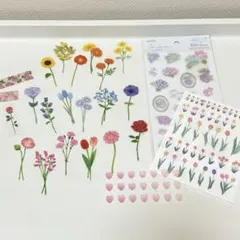 Item thumbnail for item 3cc64ff5-af8b-4d62-bd1b-cfe22900fe60