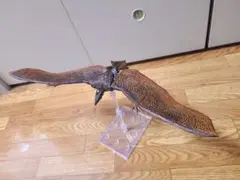 2026年最新】ラドン ハイヤトイズの人気アイテム - メルカリ