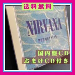 2026年最新】nirvana hormoaningの人気アイテム - メルカリ