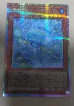 2026年最新】マルチャミープルリアの人気アイテム - メルカリ