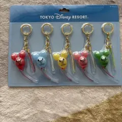 TOKYO DISNEY RESORT ミッキーマウス　キーホルダー5個セット