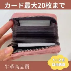 ミニ財布 カードケース 20枚収納 スキーミング防止 お札が折れない