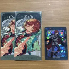 三毛縞斑　アルカナカード