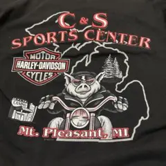 Item thumbnail for item f4d4a550-2c1e-4574-bc4c-52e8e27dab13