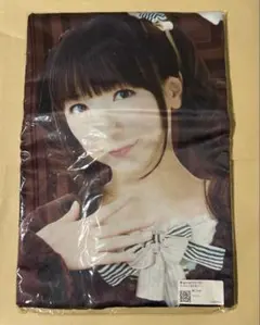 堀江由衣 ほっちゃん 抱き枕カバー Summer 黒ネコ集会 - メルカリ