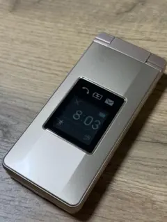 SoftBank かんたん携帯10 NP807SHのサムネイル