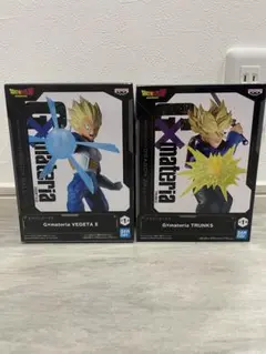 Gxmateria VEGETA II trunks セット - メルカリ