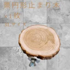 Item thumbnail for item 8097638d-3041-448a-b8e3-baa6abd00e4b