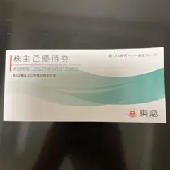 東急株主優待3万円相当お得セット　（東急ストア、 百貨店、ホテル・レストラン）