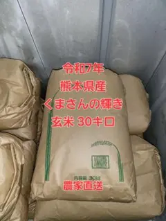 令和7年産 国内産ブランドMIXブレンド米 精米済 30kg 令和7年産 国内産ブランドMIXブレンド米 精米済 約30kg - メルカリ