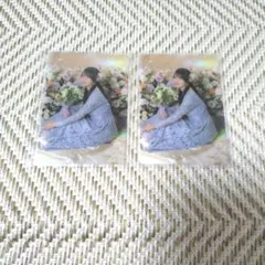 Item thumbnail for item 18ca267d-65bf-47e7-9dcb-5acb2cc9abb7