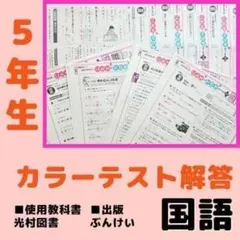 2026年最新】カラーテスト 6年 国語の人気アイテム - メルカリ