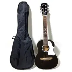 2026年最新】Gibson maestroの人気アイテム - メルカリ