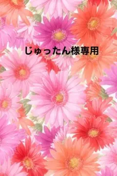 じゅったん様専用