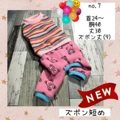 Item thumbnail for item 11cac8a5-31d9-4198-9bef-cc3aa3366cec