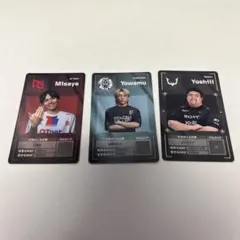 Item thumbnail for item 394f3e0a-1bf7-4305-a167-3f13e5853083