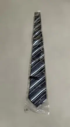 Item thumbnail for item 85608b7a-aa4e-470c-aab0-bb0cb8630b4c