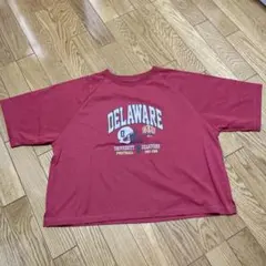 NIKO AND… Tシャツ プリントT ワイド 赤 カレッジプリントのサムネイル