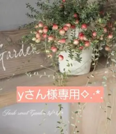 yさん様専用ページ☆。.:＊・゜