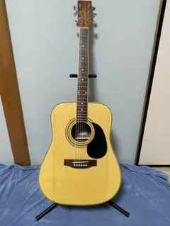 tokai hummingbird custom w-200 - メルカリ