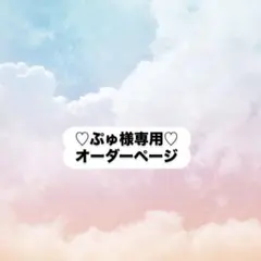 ぷゅ様専用オーダーページ