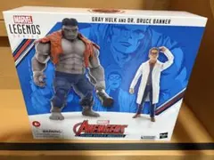 ハズブロ マーベルレジェンド グレイハルク & Dr. ブルース・バナー4180のサムネイル