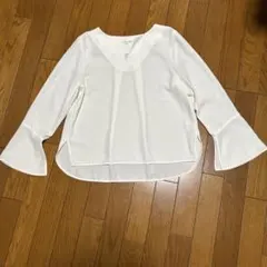 フレディエミュ