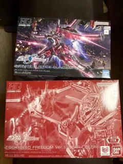 HG グフイグナイテッド(ハイネ機)&ズゴック(SEED FREEDOM)クリア