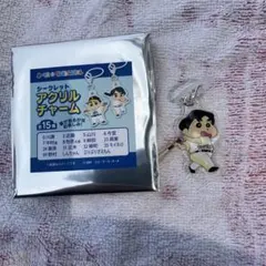 柳田 シークレットアクリルチャーム ホークス しんちゃん　柳田悠岐　ソフトバンク