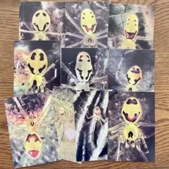 Item thumbnail for item f6ad296f-df46-4b9c-a432-7ee6cf6944e7